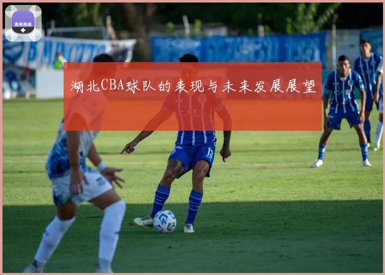 湖北CBA球队的表现与未来发展展望