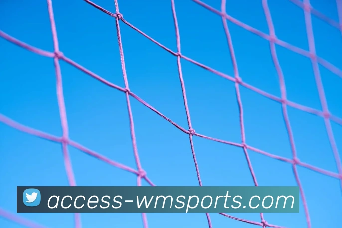 完美体育官网平台生态图