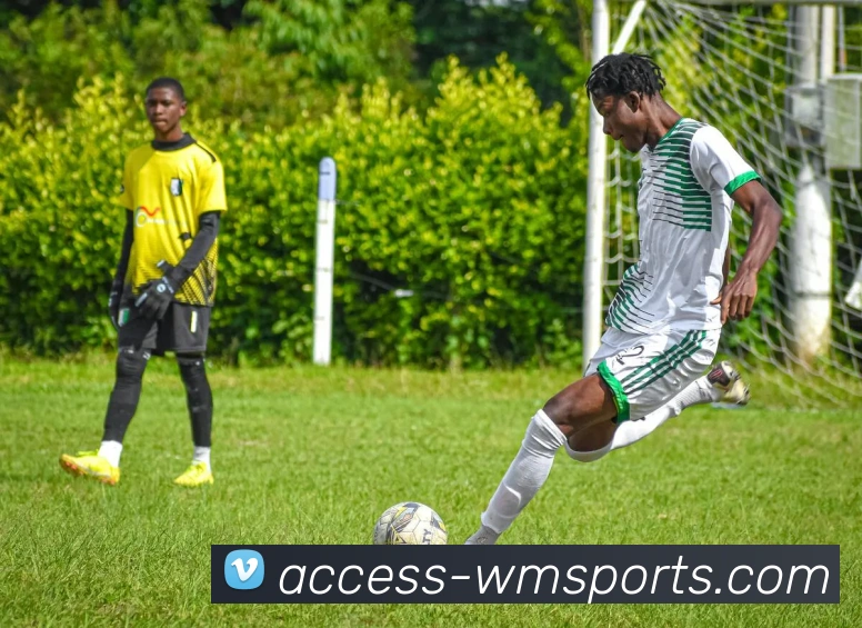 完美体育官网全站App 完美体育官网全站App